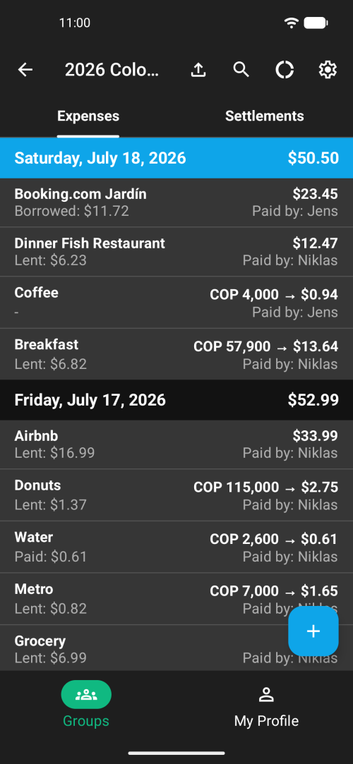 Clear chronological list of all group expenses with daily totals and split details