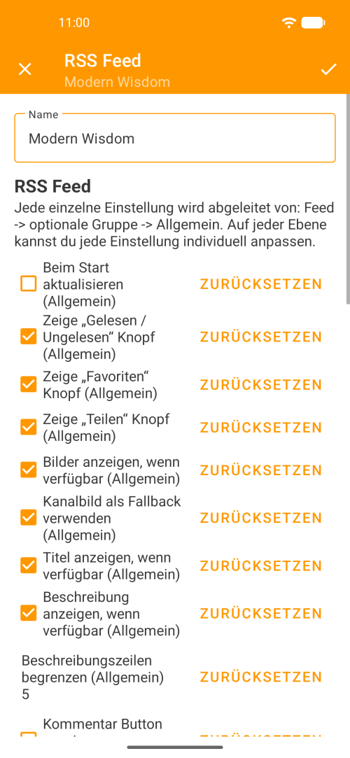 Einstellungen für einen einzelnen RSS-Feed mit anpassbaren Anzeigeoptionen und Reset-Buttons