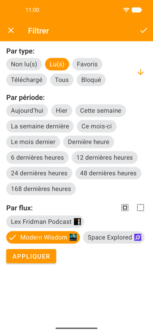 Écran de filtres avancés par type, plage de dates et flux spécifiques